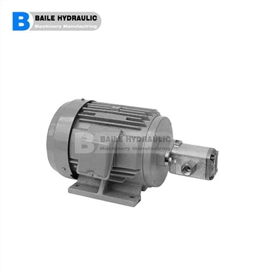 DAIKIN MFP100 시리즈 모터 펌프 MFP100/1.2-2-*-10 MFP100/1.7-2-*-10 MFP 100/2.2-2-*{{12} } MFP 100/2.6-2-*-10 MFP100/3.2-2-*-10 MFP100/3.8-2-*-10 MFP100/4 .3-2-*-10 MFP100/7.8-2-*-10