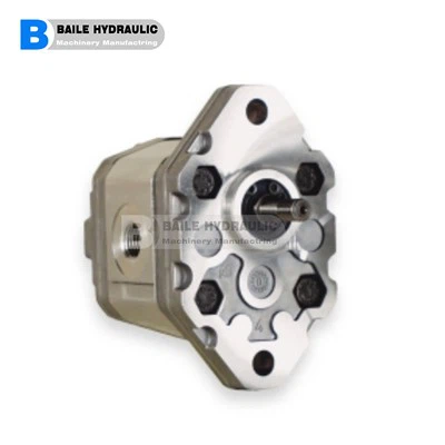 MARZOCCHI 기어 펌프 {{0}}.25 D 18 KA 0.25 D 24 KA 0.25 D 30 KA 0.25 D 36 KA