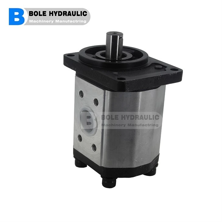 Kracht Transfer Gear Pump KF0